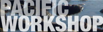 PACIFIC WORKSHOP